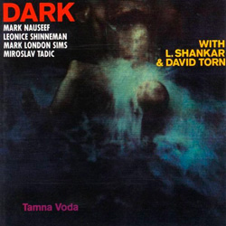 Dark: Tamna Voda